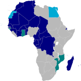 Visuel Afrique francophone 1xBet