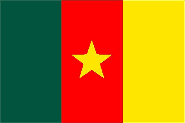 Drapeau et visuel pays Cameroun